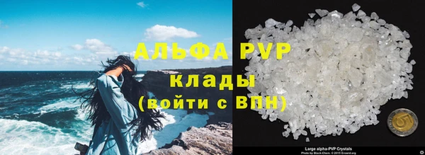 прущие крисы Покачи