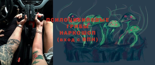 шишки Покровск